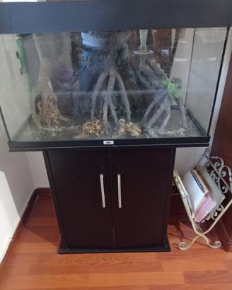 Acquario