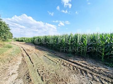Terreno Agricolo Santa Maria la Fossa