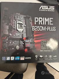scheda  Asus prime B250M Plus