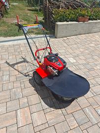 taglia erba falcia tutto Bluebird Alhambra 