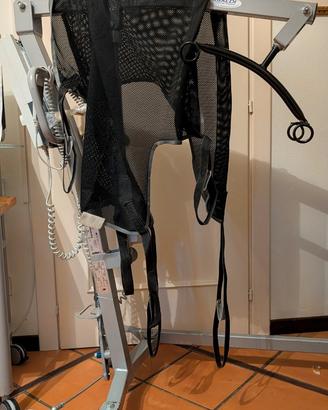 Sollevatore elettrico disabili