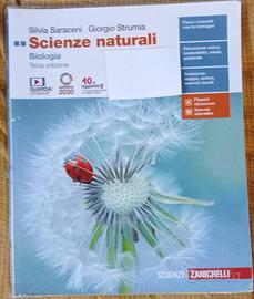 Libri scuola superiore