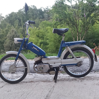 Girelli gulp in perfette condizioni