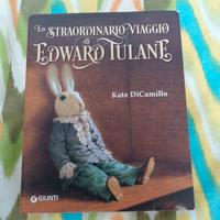 libro lo straordinario viaggio di Edward tulane 