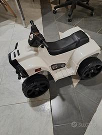 Quad elettrico