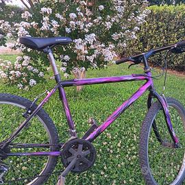 MTB 26 POLLICI