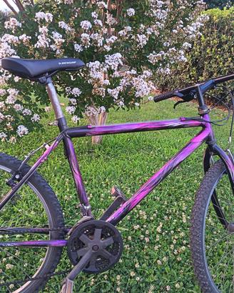 MTB 26 POLLICI