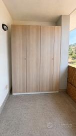 Armadio IKEA PAX 165x60x236cm