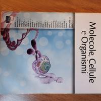 molecole cellule e organismi