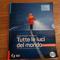 Tutte le luci del mondo
