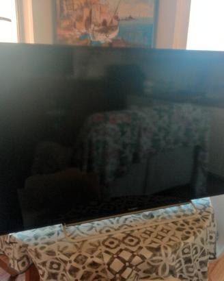 Sony 48 p