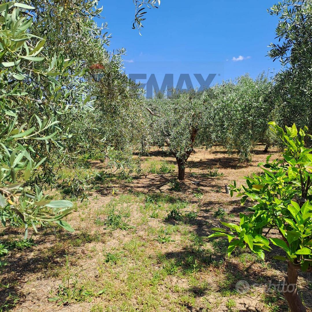 Terreno - Ramacca - View 3
