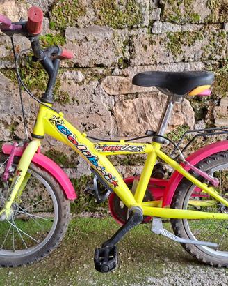 bicicletta mountain bike ruote da 17