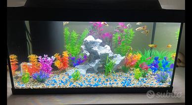 Acquario Tetra starter line LED 54 litri