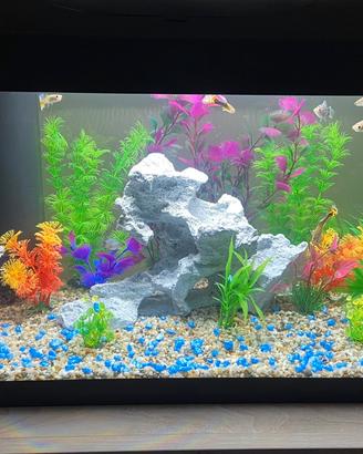 Acquario Tetra starter line LED 54 litri