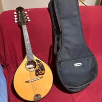 Mandolino del liutaio Valerio Gorla