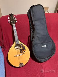 Mandolino del liutaio Valerio Gorla