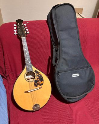 Mandolino del liutaio Valerio Gorla