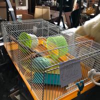 Gabbia per criceto con accessori