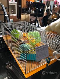 Gabbia per criceto con accessori