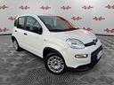 fiat-panda-1-0-firefly-hybrid-pronta-consegna-