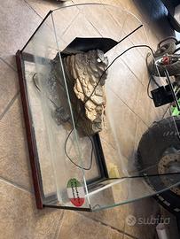 Tartarughiera + luce