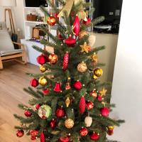 Albero di natale