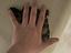Immagine 4