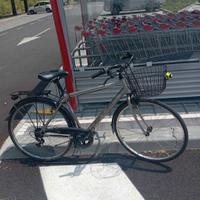 Bicicletta da città Delta Lugano, Perfetta