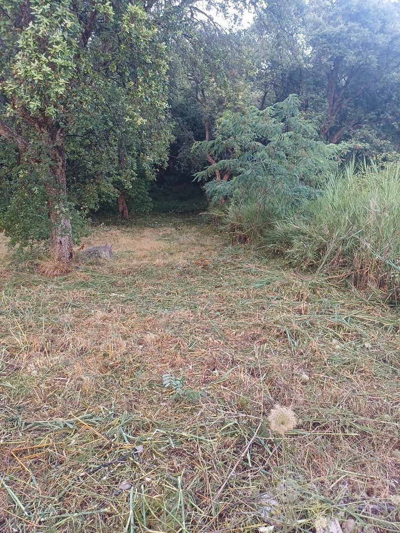 terreno a vibonati - Vista 5