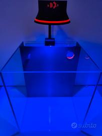 acquario marino nano reef 