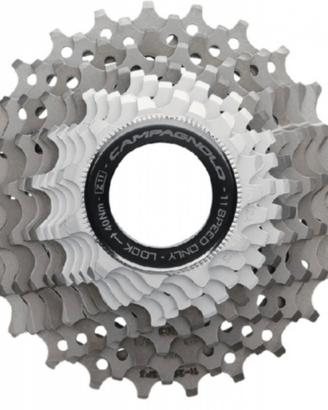 Pacco pignoni campagnolo super record 11v titanio