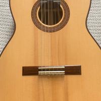 Chitarra di liuteria