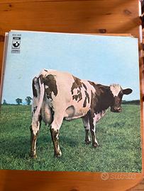 Vinili Pink Floyd