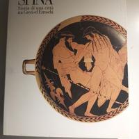 libro SPINA  una citta' tra Greci ed Etr