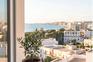 Gallipoli BAIA VERDE dal 30 AGOSTO 50mt spiagge