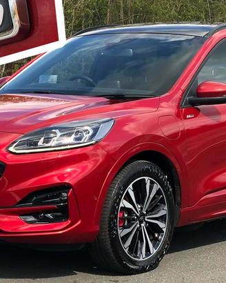 Ricambi Ford Fiesta st