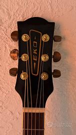 Chitarra acustica eko