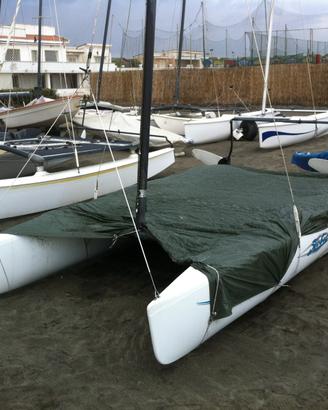 Barche a vela