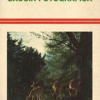 Tecniche di caccia fotografica