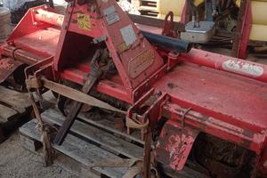 Frasca Maschio 1, 60