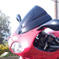 Accessori triumph Daytona Speed triple 955