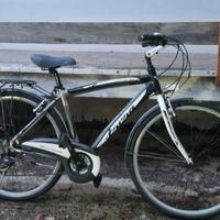 Citybike Frera bici da uomo