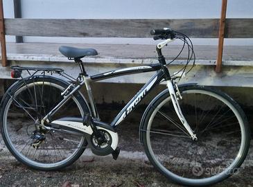 Citybike Frera bici da uomo