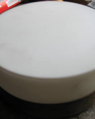 Luce tonda da esterno con plafoniera (20cm )