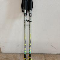 Leki bastoncini telescopici da camminata