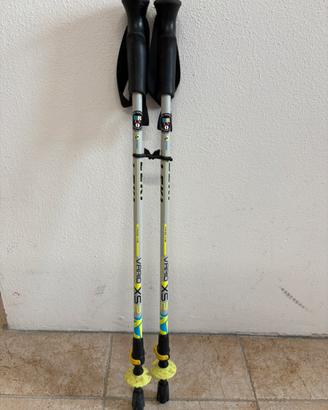 Leki bastoncini telescopici da camminata