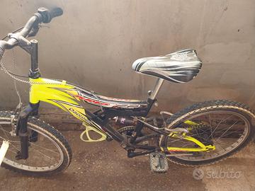 bici cerchio 20