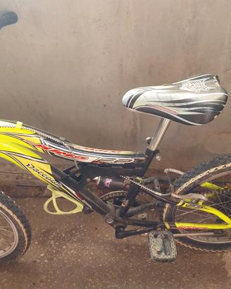 bici cerchio 20