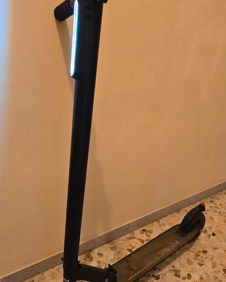 Monopattino elettrico 250w Ngm